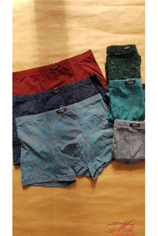 Мужские боксеры Taso 5659 р.L